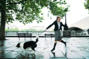 Education canine comportementaliste Toulouse Blagnac tire en laisse